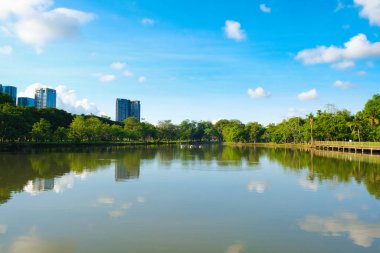 Kamu parkındaki güzel gölet, mavi gökyüzüne karşı.