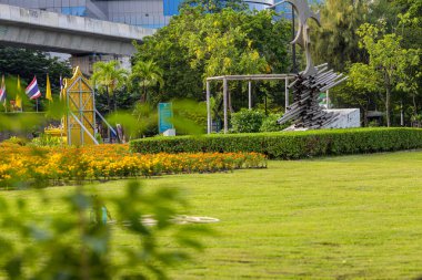 Şehir parkında yeşil çayır çimenleri Sabah aydınlığı doğa manzarası