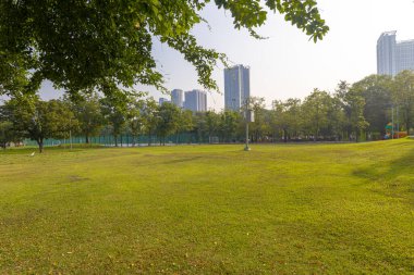 Şehir parkındaki yeşil çayır çimen arka plan güneş ışığı doğa manzarası