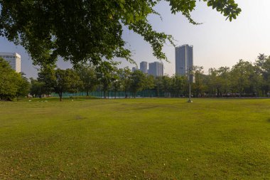 Şehir parkındaki yeşil çayır çimen arka plan güneş ışığı doğa manzarası