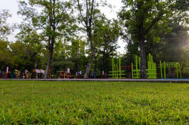 Çocuk parkında yeşil çayır çimenleri Sabah güneşinin doğuşu doğa arka planı