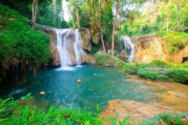 Tayland 'ın kuzeyindeki Phayao' da yeşil ağaç ormanı olan tropikal yağmur ormanlarında şelale.