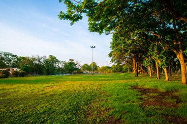 Akşam üstü açık mavi gökyüzü, yeşil çayır çimenleri, ağaç ormanı şehri, halk parkı, doğa yeşili arka plan.