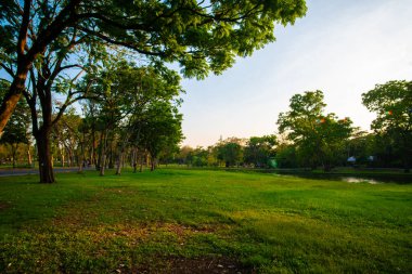 Akşam üstü açık mavi gökyüzü, yeşil çayır çimenleri, ağaç ormanı şehri, halk parkı, doğa yeşili arka plan.