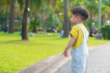 Bebek çimenlerde ilk adımı atmayı öğreniyor. Halk parkında gün batımı. Gün batımı.