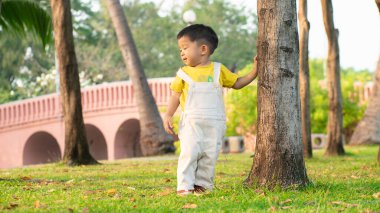 Bebek çimenlerde ilk adımı atmayı öğreniyor. Halk parkında gün batımı. Gün batımı.