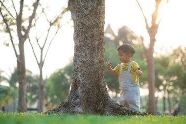 Bebek çimenlerde ilk adımı atmayı öğreniyor. Halk parkında gün batımı. Gün batımı.