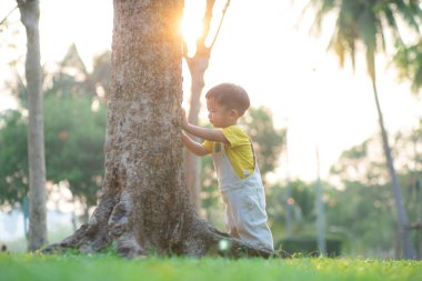 Bebek çimenlerde ilk adımı atmayı öğreniyor. Halk parkında gün batımı. Gün batımı.