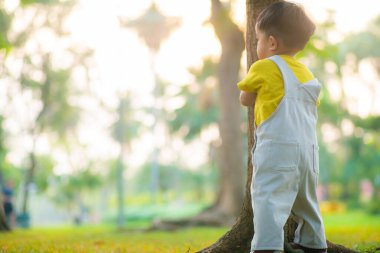 Bebek çimenlerde ilk adımı atmayı öğreniyor. Halk parkında gün batımı. Gün batımı.
