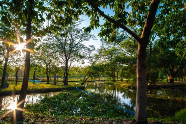 Sükunet içinde bir nehir, yeşil ağaç ormanı, halk parkı, gün batımı gökyüzü, bulutlu doğa manzarası.