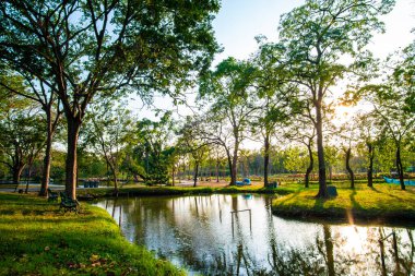 Sükunet içinde bir nehir, yeşil ağaç ormanı, halk parkı, gün batımı gökyüzü, bulutlu doğa manzarası.
