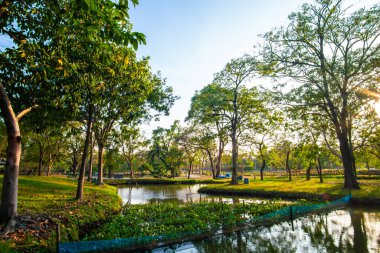 Sükunet içinde bir nehir, yeşil ağaç ormanı, halk parkı, gün batımı gökyüzü, bulutlu doğa manzarası.