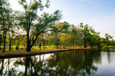 Sükunet içinde bir nehir, yeşil ağaç ormanı, halk parkı, gün batımı gökyüzü, bulutlu doğa manzarası.