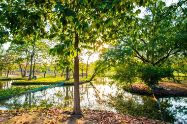 Sükunet içinde bir nehir, yeşil ağaç ormanı, halk parkı, gün batımı gökyüzü, bulutlu doğa manzarası.