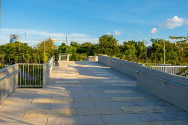 Şehir merkezindeki halk parkında asfalt yolda yürü ve koş.