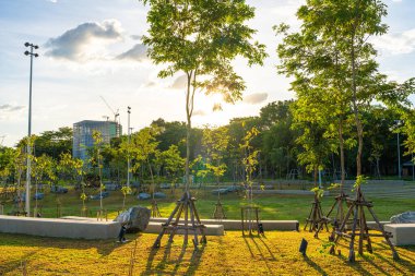 Yeşil şehir parkında yürüyüş yolu Gün batımı gökyüzü doğa manzarasını gölgeliyor