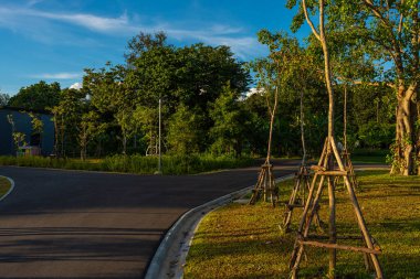 Yeşil şehir parkında yürüyüş yolu Gün batımı gökyüzü doğa manzarasını gölgeliyor