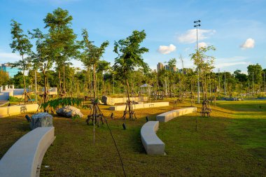 Şehir merkezindeki şehir parkında çayır yeşili çimenler. Gün batımında gökyüzü bulutlu Bangkok Thaialand.