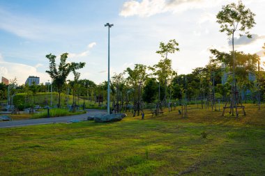 Yeşil şehir parkında yürüyüş yolu Gün batımı gökyüzü doğa manzarasını gölgeliyor