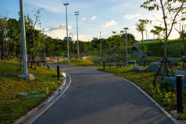Şehir merkezindeki halk parkında asfalt yolda yürü ve koş.