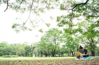 Asyalı anne, parkta piknikte bebekle oynuyor. Açık hava eğlencesi konsepti. 