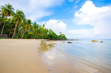 Idyllic White 's sans sea beach tropikal yağmur ormanı adası güneşli yaz tatili arka planı