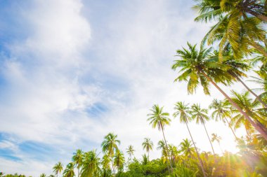 Idyllic White 's sans sea beach tropikal yağmur ormanı adası güneşli yaz tatili arka planı