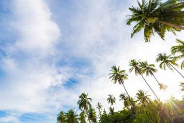 Idyllic White 's sans sea beach tropikal yağmur ormanı adası güneşli yaz tatili arka planı