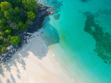 Havadan inanılmaz deniz plajı, tropikal ağaç ormanı yaz tatili geçmişi olan beyaz kumlu plajı dalgalandırıyor.
