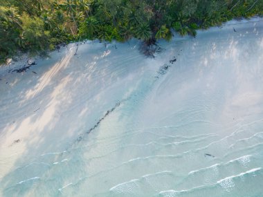 Havadan inanılmaz deniz plajı, tropikal ağaç ormanı yaz tatili geçmişi olan beyaz kumlu plajı dalgalandırıyor.
