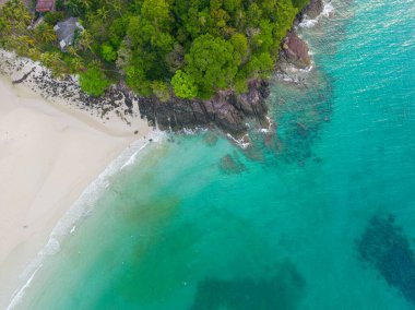 Havadan inanılmaz deniz plajı, tropikal ağaç ormanı yaz tatili geçmişi olan beyaz kumlu plajı dalgalandırıyor.