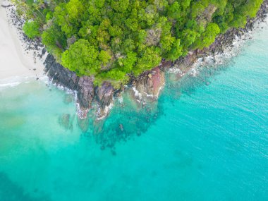Havadan inanılmaz deniz plajı, tropikal ağaç ormanı yaz tatili geçmişi olan beyaz kumlu plajı dalgalandırıyor.