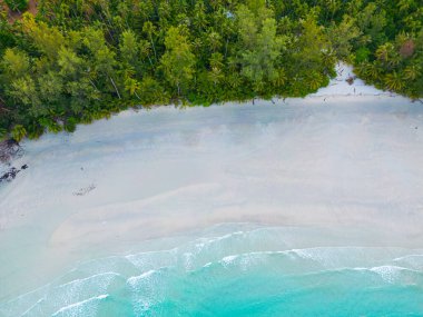 Havadan inanılmaz deniz plajı, tropikal ağaç ormanı yaz tatili geçmişi olan beyaz kumlu plajı dalgalandırıyor.