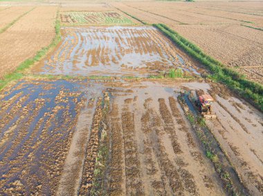 Çeltik pirinç tarlasında çalışan hava manzaralı traktör.
