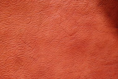 Açık kahverengi, hakiki, tam tahıllı, deri desenli inek arka planı.