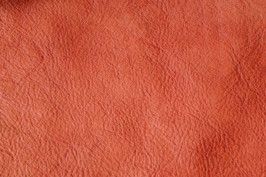 Açık kahverengi, hakiki, tam tahıllı, deri desenli inek arka planı.