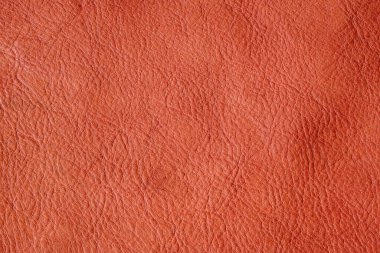 Açık kahverengi, hakiki, tam tahıllı, deri desenli inek arka planı.