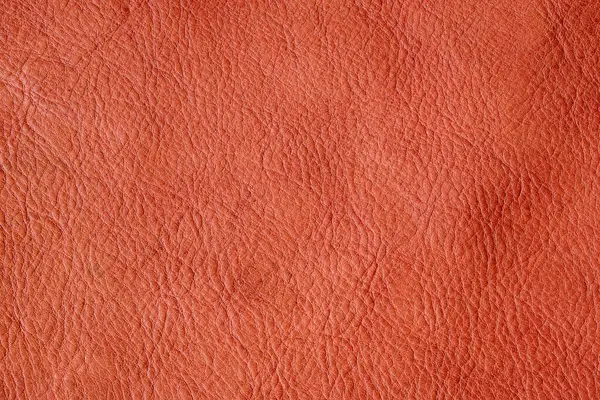 Açık kahverengi, hakiki, tam tahıllı, deri desenli inek arka planı.