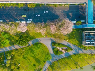 Chatuchak şehir parkında gün batımı manzaralı pembe sakura çiçeği yol ve bts hava treni Bangkok Tayland