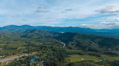 Hava manzaralı yeşil tropikal yağmur ormanı nehir kanalı tabiatı olan büyük bir ağaç.