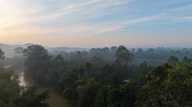 Hava manzaralı tropikal yağmur ormanları arka planda nehir ormanı nehir nehri doğa manzarası