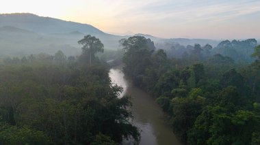 Hava manzaralı tropikal yağmur ormanları arka planda nehir ormanı nehir nehri doğa manzarası