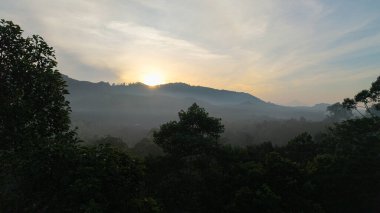 Hava manzaralı tropikal yağmur ormanları arka planda nehir ormanı nehir nehri doğa manzarası