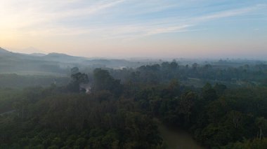Hava manzaralı tropikal yağmur ormanları arka planda nehir ormanı nehir nehri doğa manzarası