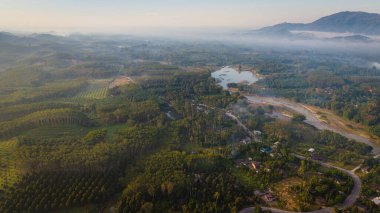 Hava eğrisi nehir tropikal yağmur ormanı sabah güneşi sisli yeşil manzara ekoloji doğa manzarası
