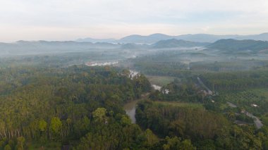 Hava manzaralı tropikal yağmur ormanları arka planda nehir ormanı nehir nehri doğa manzarası
