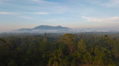 Tropikal yağmur ormanı yeşil ağaç dağı gün batımı renkli gökyüzü manzarası