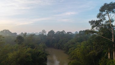 Hava eğrisi nehir tropikal yağmur ormanı sabah güneşi sisli yeşil manzara ekoloji doğa manzarası
