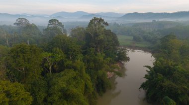 Hava manzaralı tropikal yağmur ormanları arka planda nehir ormanı nehir nehri doğa manzarası