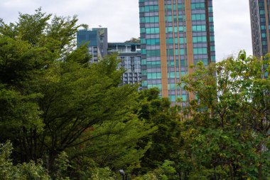 Modern ofis inşa eden yeşil şehir parkı.